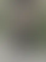 Am Strand blank gezogen für dich!