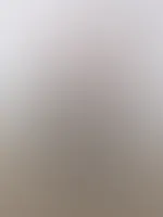 Guten Morgen
