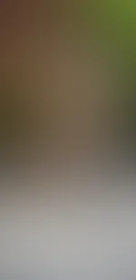 Auf geht's zur Kinkyparty 😁