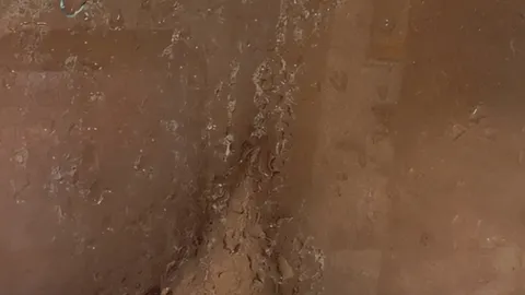 Fun in the shower 🚿 💦