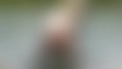 Badzeit im Badeteich