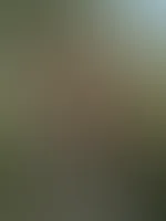 Hättest du Lust mich zu reiten?