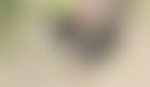 Zum Orgasmus geritten