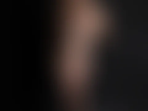 Neue Galerie online mit analplug