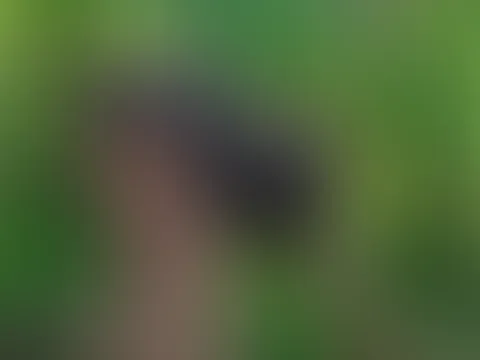 Ups… habe mich nach einem Löwenzahn gestreckt und mein Kleid ist viel zu kurz 🍑 Jetzt ist alles zu sehen… Gib zu, gefällt dir der Anblick? 💦