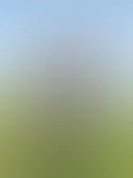 Ich weiß genau, worauf deine Augen kleben…