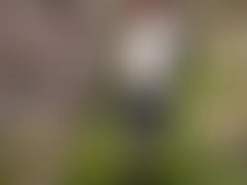 Der Frühling bringt mich auf Ideen... Willst du sie sehen?🥰