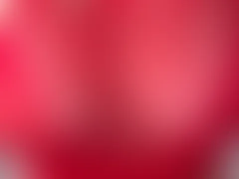 Das kurze rote