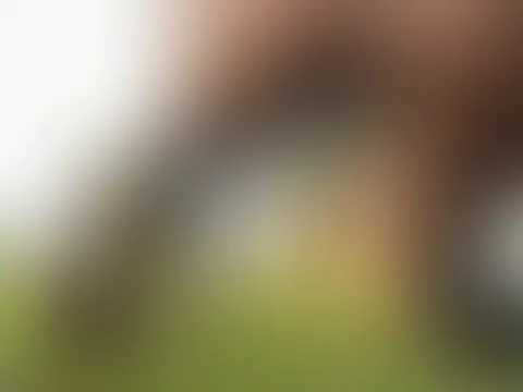 Gestern beim spazieren gehen wurde ich plötzlich geil, ich musste es mir auf der Stelle selbst besorgen.😊 Schade das kein Typ vorbeigekommen ist und mich als Wixx Vorlage benutzt hat 😁😜 Macht ihr d