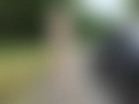Spontane und versaute Rastplatz-Aktion für jedermann! Teil 1 "Fremdschwanz f**kte mich AO bis zum C******e im Spannerwald!"