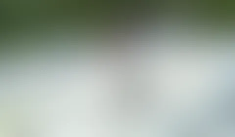 Was gibt es geileres als Mädels im Schlamm beim catchen. Ich bin nicht nur die Jüngste, sondern eindeutig auch die Unerfahrenste und ich gebe mir alle Mühe mitzuhalten.