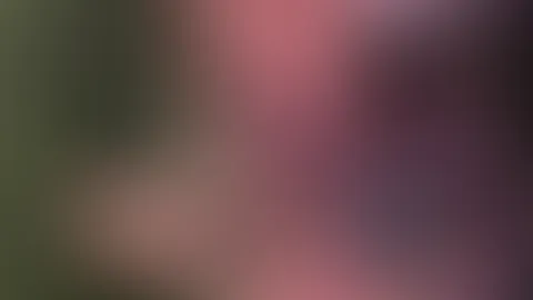 Randoms from phone 2/10