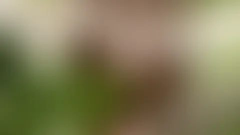 2 girls, arse and p***y 🔥
