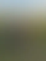 Sag mir, wo du zuerst hinschauen würdest 😘