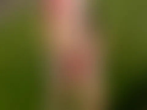 Spielen wir etwas im Feld? đ