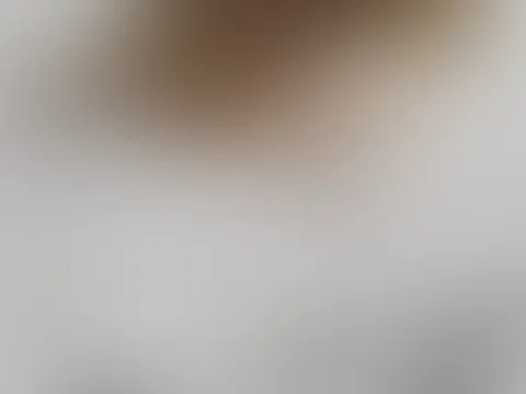 Feucht,feuchter meine M****i