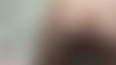 A brief look at the contents