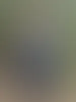Morgenspaziergang đ