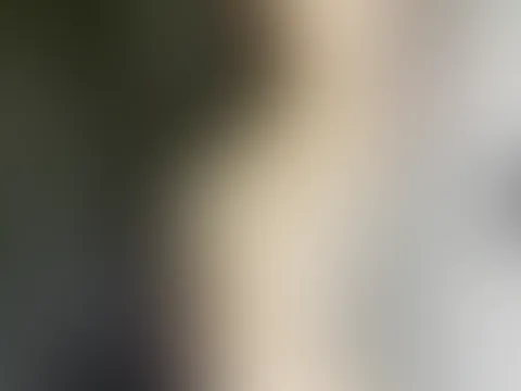 DDD = was könnte das heißen ;)