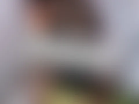 Ist die Perspektive gut đ