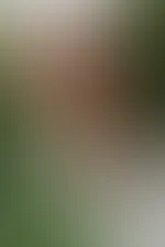 Verpasst nicht die aktuelle Serie mit Conny 🥵🥵🥵 und es kommen noch mehr