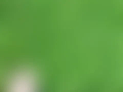 Kleiner Spaziergang durch meinen Garten ☺️ leider waren die Nachbarn zu laut, Darum ohne Ton …
