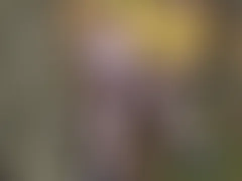 Abenteuer im Wald🥵