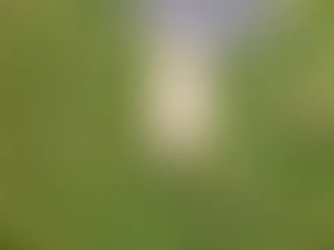 Sommer sonne 🌞 und nackte Füße