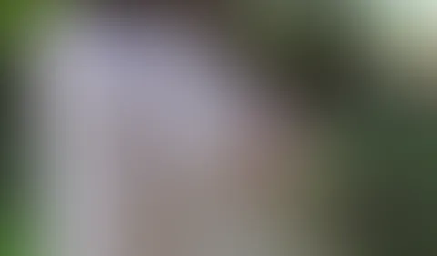 Ich zeig dir meine Knospen im Frühlingserblühen! Der Wald erwacht zu neuem Leben und ey was gibt es da besseres als meine geilen Knospen raus zu holen und sie dir zu zeigen, ein bisschen Rosa im satt