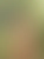 🧚♀️🧚♀️