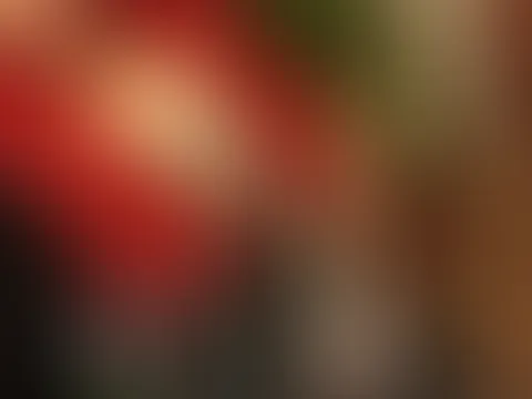Gratis Album ❤️🔥 das habt ihr euch verdient 🌹