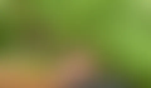 Tape22 Outdoor Handjob beim Bärlauch sammeln mi Happyend