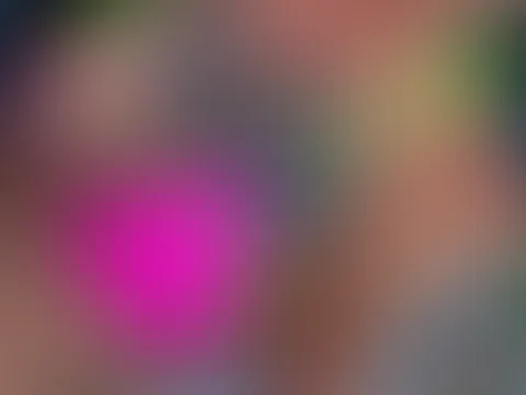 Bikini Tag
