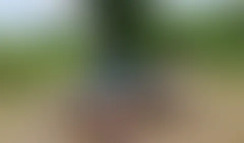 Willst du mein Spanner sein Public Orgasmus