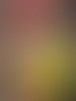 Ich brauche eine heiße Motivation für den Montag… Stell dir vor, ich knie nackt vor dir – was machst du mit mir? 😏🔥