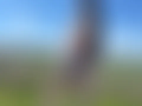 Einen wunderschönen montag. Ist bei dir auch Feiertag?💛