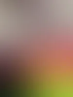 Mein neuer Dildo fühlt sich so echt an🥵