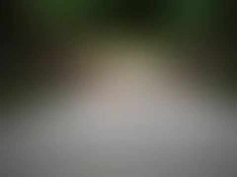 komm rette mich