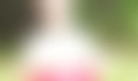 Geile Public Dildo S*x im Wald Extrem Public wurde ich erwischt?!