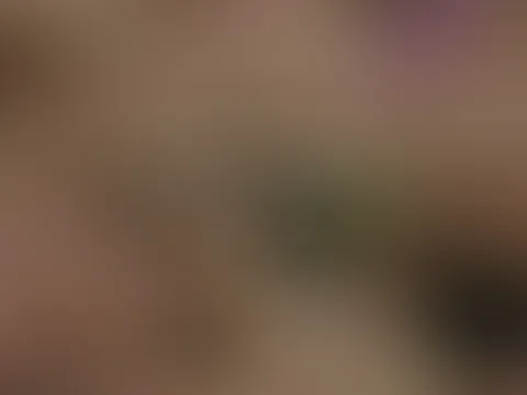 soother girl gets fucked