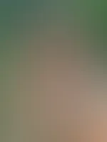 Mein Partner undich