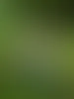 War da eventuell etwas draußen im Grünen unterwegs.. nackig natürlich.. 😋😋🔥🔥😘