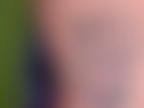 Fkk