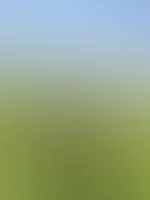 Ich lass dich träumen… und dann zerreiß ich die Fantasie.🥵