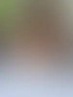 Heute ein wenig ruhiger um mich herum ,, klein Locke“ und so …… aber viel Spaß mit meinen neuem Input