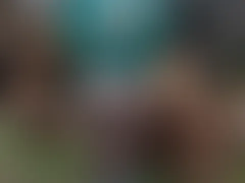Würdest du dich getrauen mir hier deinen S*****z geben?
