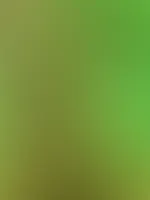 Sonnigen Nachmittag euch 🥵