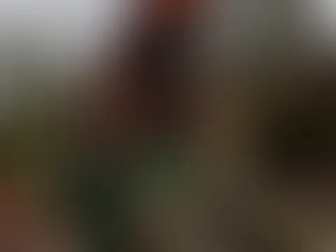 Na wo sind die starken Waldarbeiter die mir bisschen helfen! Entschuldigt meine Schnittschutzhose ist bisschen verrutscht und ich trage ja nichts drunter 😅