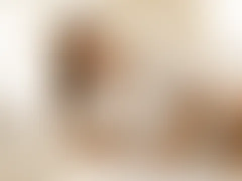 ✨ Ein gemütlicher Morgen, ein weiches Bett und ich... Manchmal genügt ein Blick, um alles zu vergessen 😏🤍 Heute wünsche ich mir Zärtlichkeit, Aufmerksamkeit und ein paar verbotene Gedanken... Komms