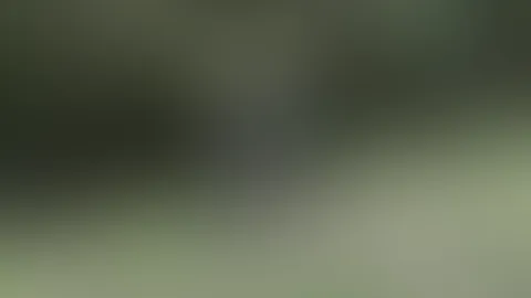 Dildoride on a mountain bike